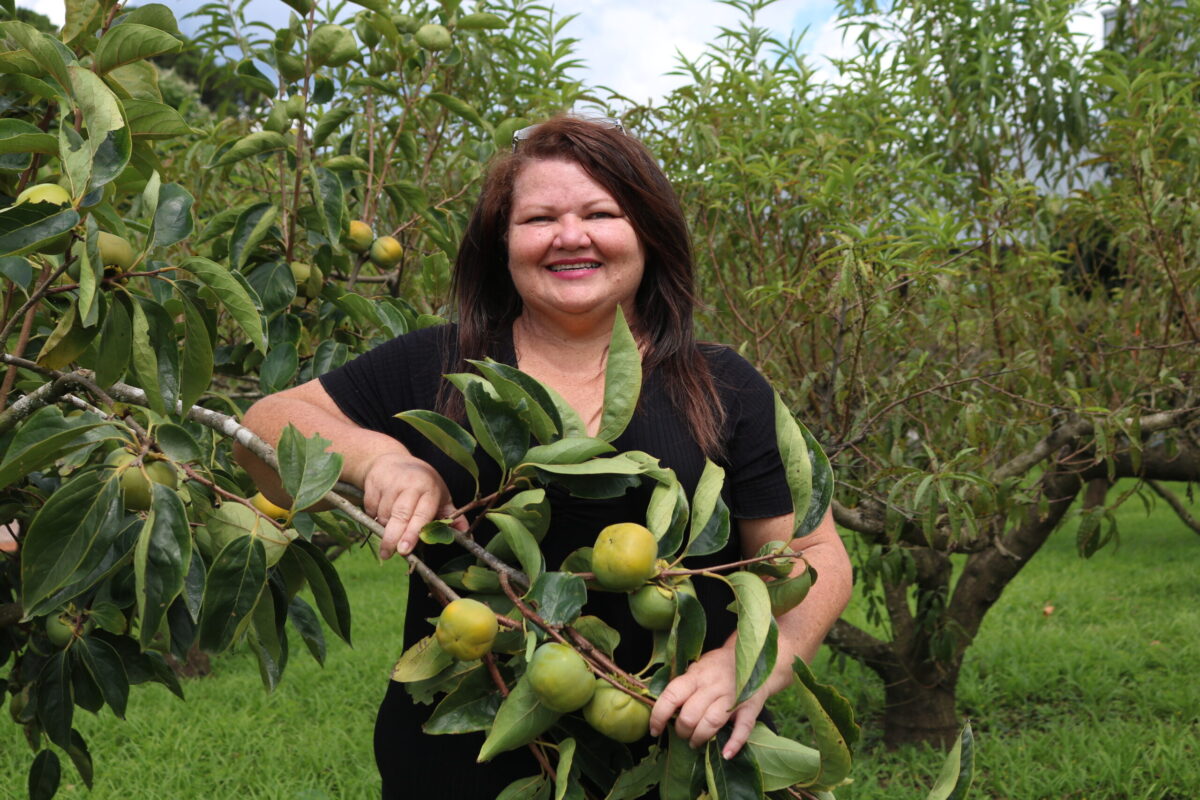 Prefeitura de São Bento do Sul promove novo “Giro do Agro” em comemoração ao Dia do Agricultor