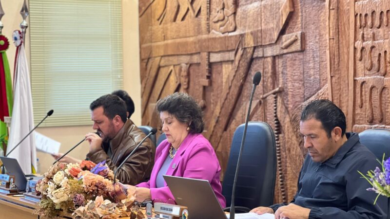 Novos projetos são aprovados nas comissões permanentes