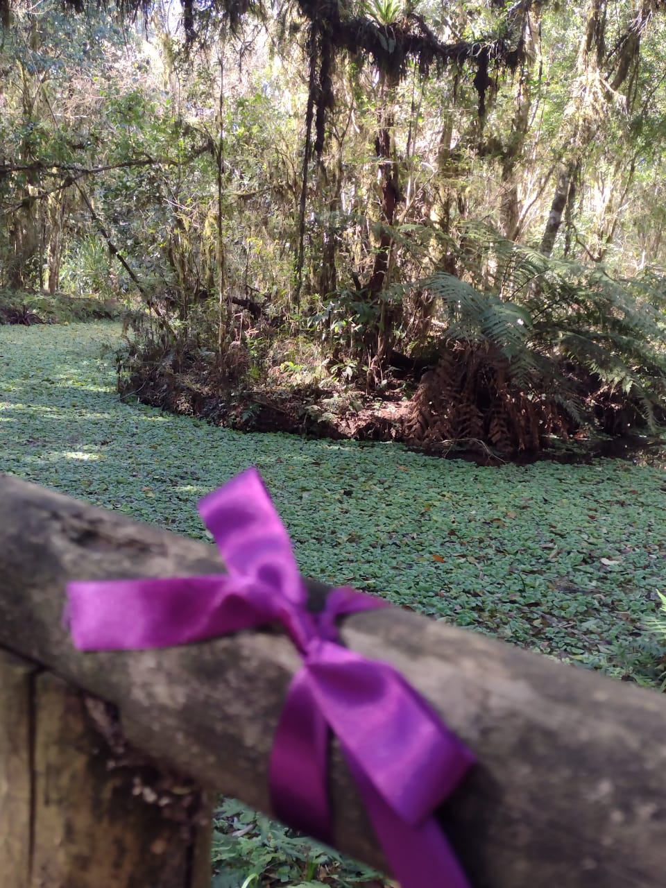 Agosto Lilás no Ecoparque