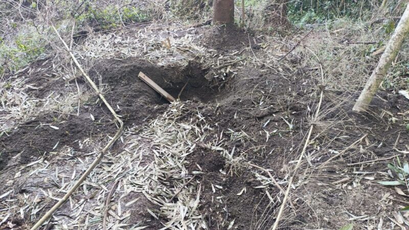 Corpo é encontrado enterrado em área de mata em Chapecó