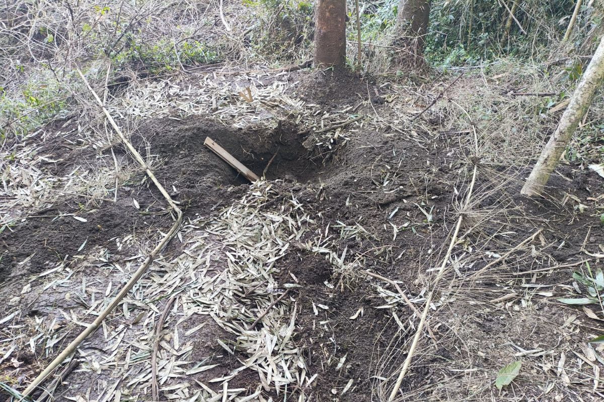 Corpo é encontrado enterrado em área de mata em Chapecó
