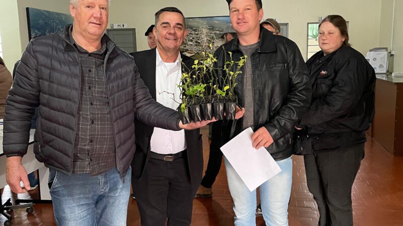 Prefeitura de Campo Alegre realiza entrega de mudas de amoreira para agricultores