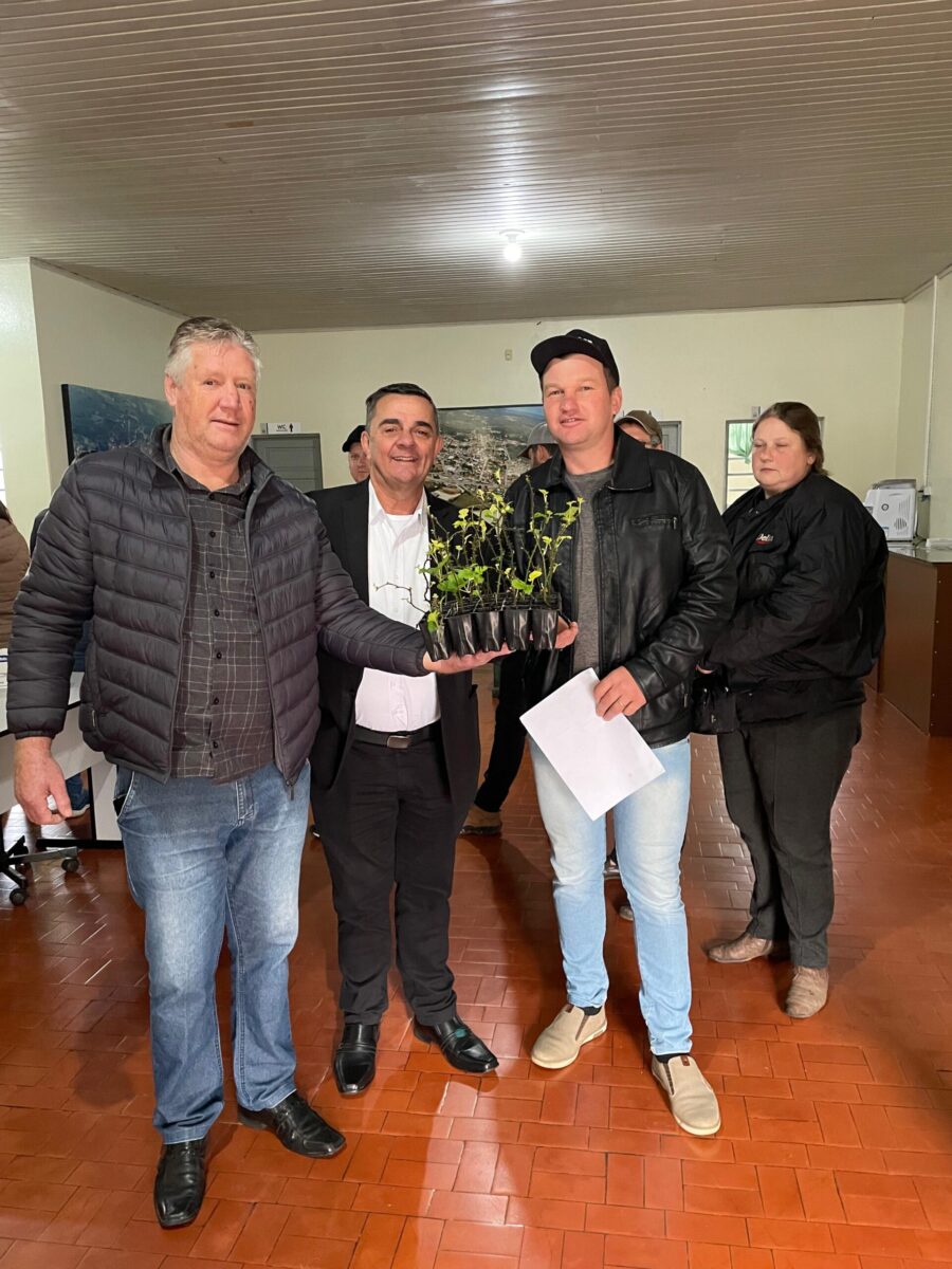 Prefeitura de Campo Alegre realiza entrega de mudas de amoreira para agricultores