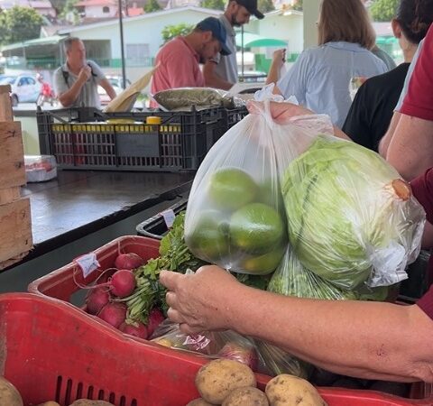 Câmbio Verde arrecada mais de 6 toneladas de recicláveis no bairro Serra Alta