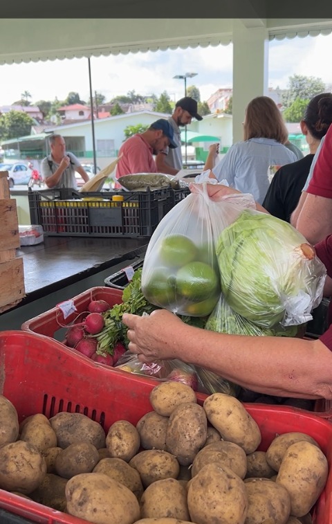 Câmbio Verde arrecada mais de 6 toneladas de recicláveis no bairro Serra Alta