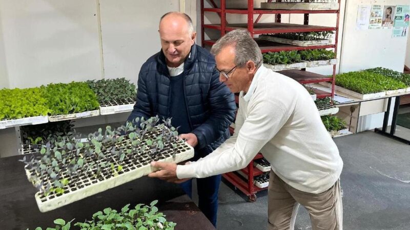 Programa de hortas comunitárias já distribuiu 1,3 milhão de mudas em Jaraguá do Sul