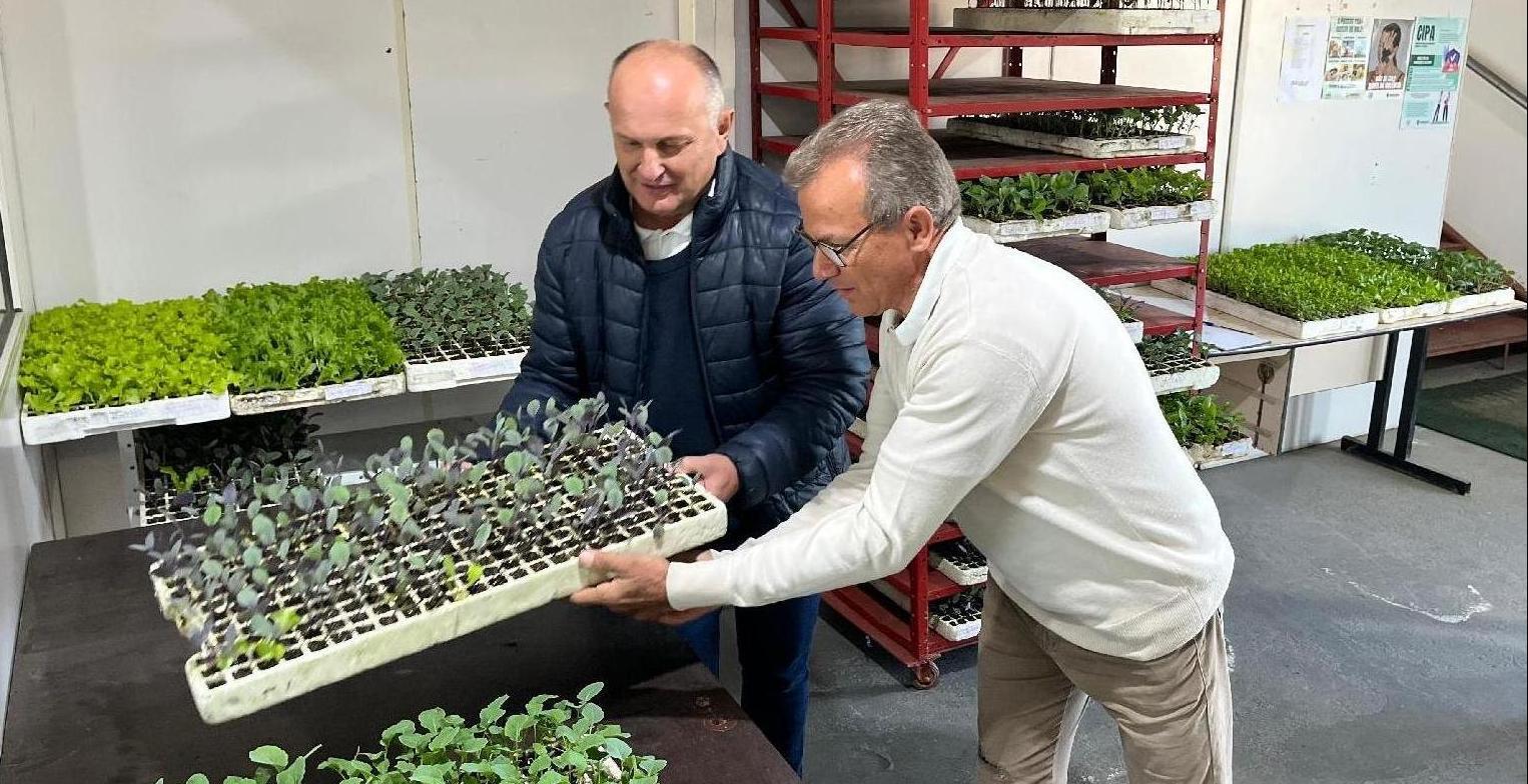 Programa de hortas comunitárias já distribuiu 1,3 milhão de mudas em Jaraguá do Sul