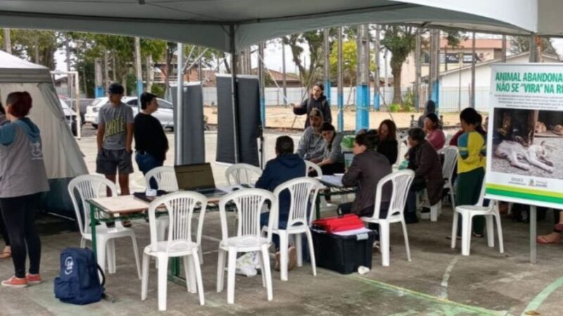 Prefeitura de Joinville castra 197 animais em mutirão realizado na Vila Cubatão