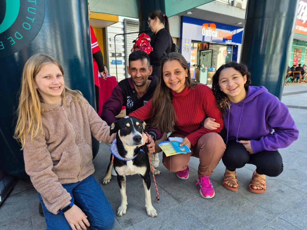 Cães e gatos ganham novo lar por meio de feira de adoção em Jaraguá do Sul