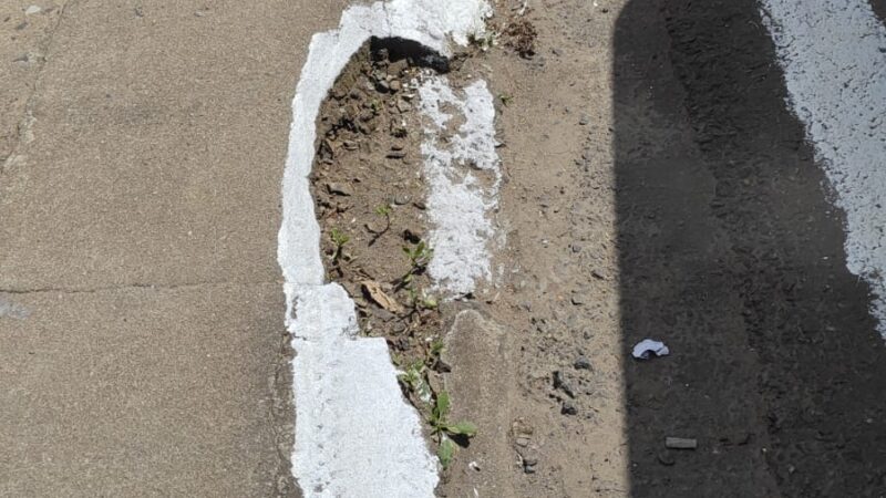 Em Papanduva, pintura de rua desvia até de buraco na calçada e vira atração