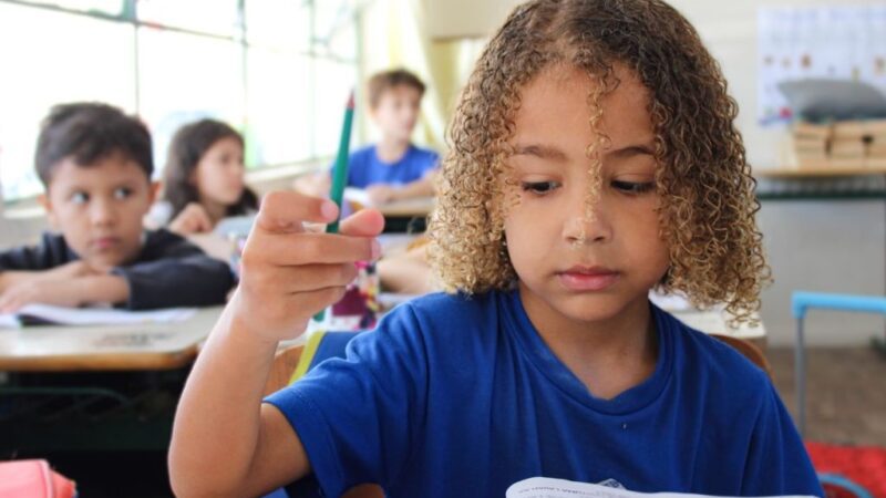 Dia Internacional da Alfabetização: Confira ações realizadas em SC