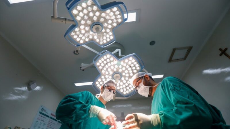 Setembro Verde destaca a importância da doação de órgãos com ações em Joinville