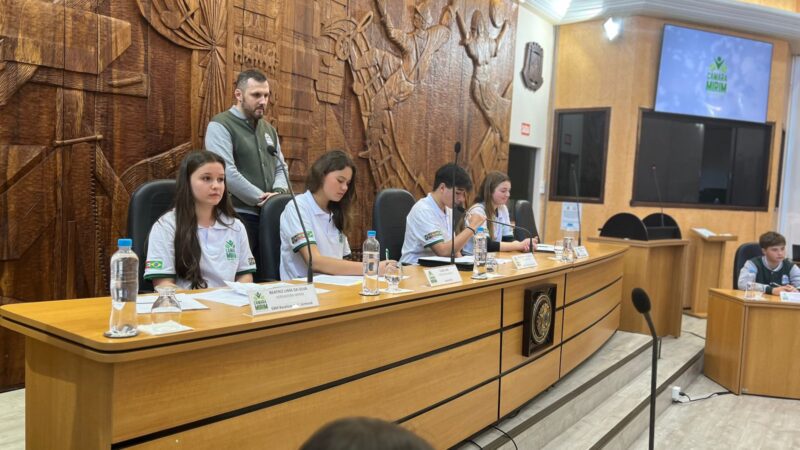 Câmara Mirim se reúne em mais uma sessão