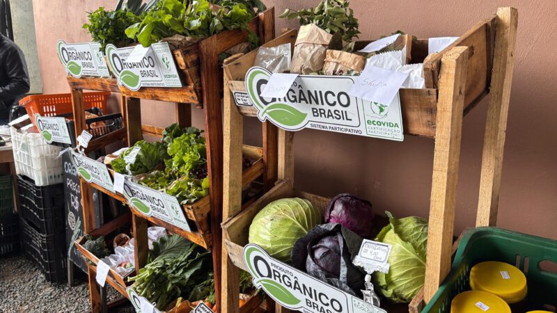 Edição do Câmbio Verde acontece nesta sexta-feira (5)