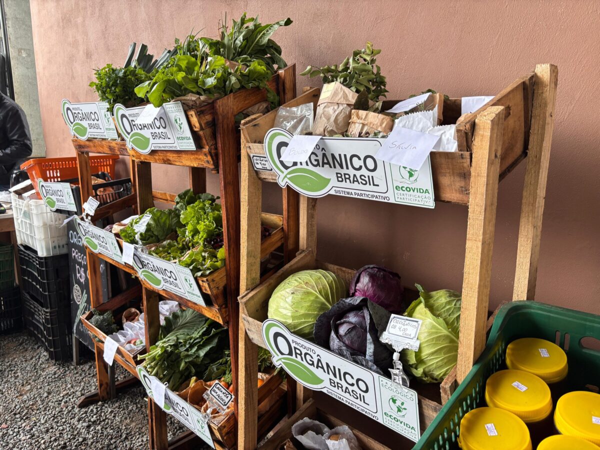Edição do Câmbio Verde acontece nesta sexta-feira (5)