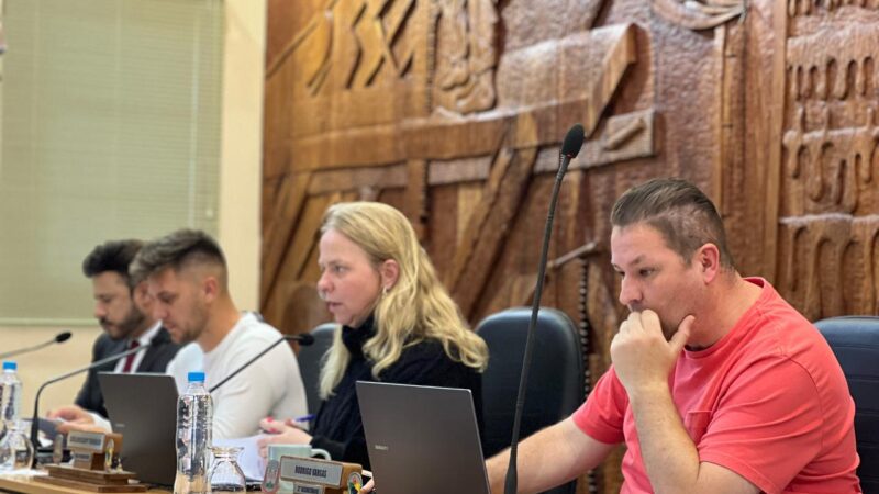 Comissões aprovam diversos projetos 