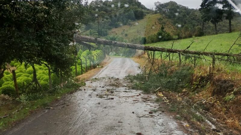 Defesa Civil atende ocorrências causadas pela chuva e ventos deste domingo (21)