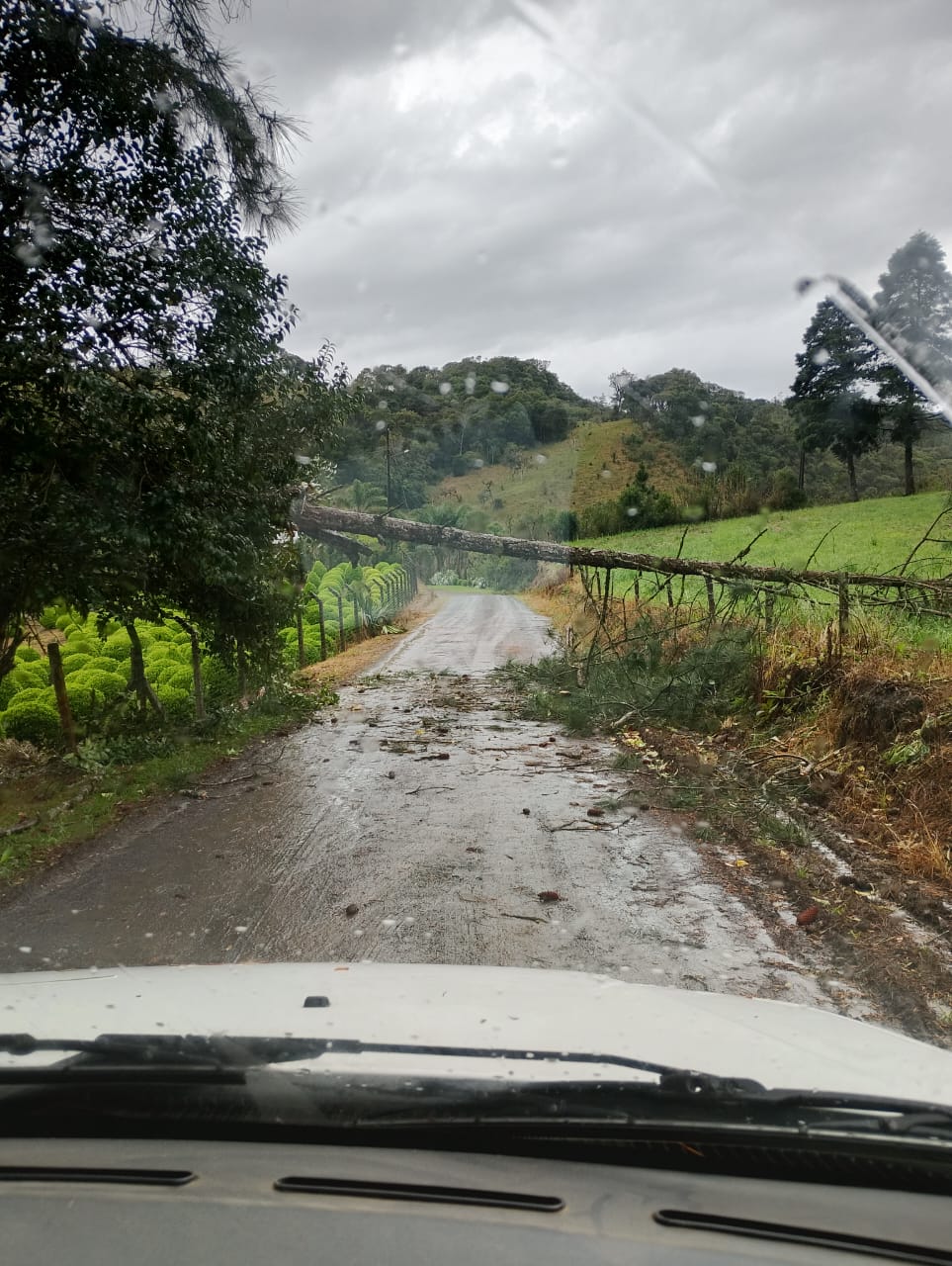 Defesa Civil atende ocorrências causadas pela chuva e ventos deste domingo (21)