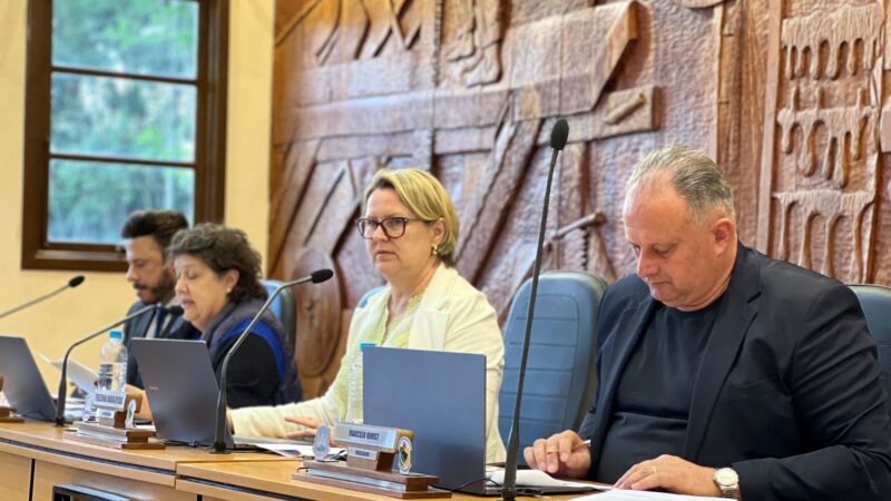 Vereadores votam pela tramitação de projetos nas comissões