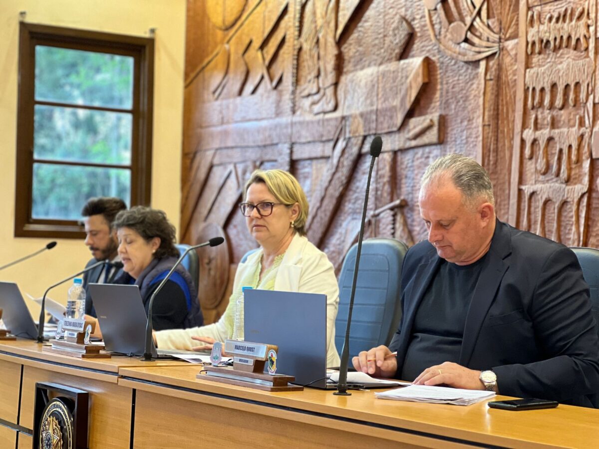 Vereadores votam pela tramitação de projetos nas comissões