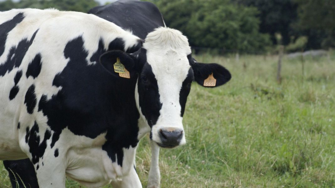 Canoinhas recebe evento regional de agricultura do Planalto Norte