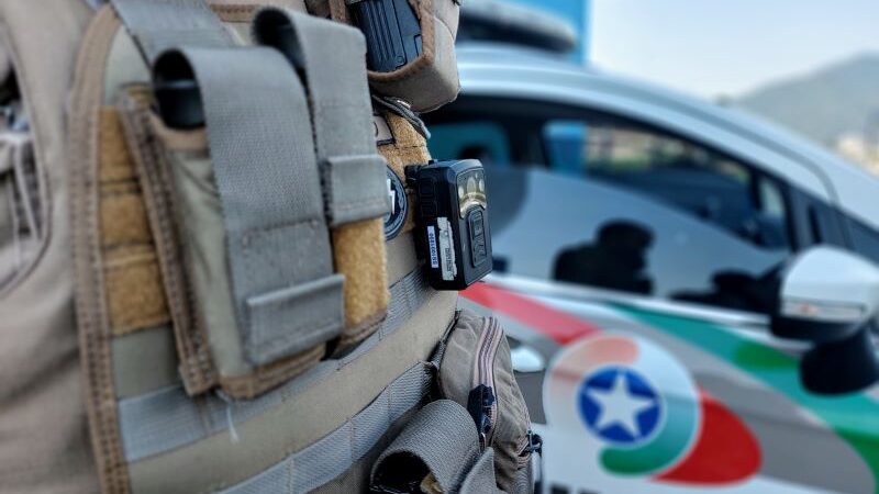 Mulher se recusa a devolver cachorra da vizinha e acaba na delegacia em Jaraguá do Sul