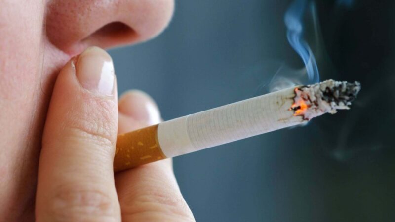 Vereadores mirins de Jaraguá do Sul discutem combate ao fumo e valorização da saúde mental