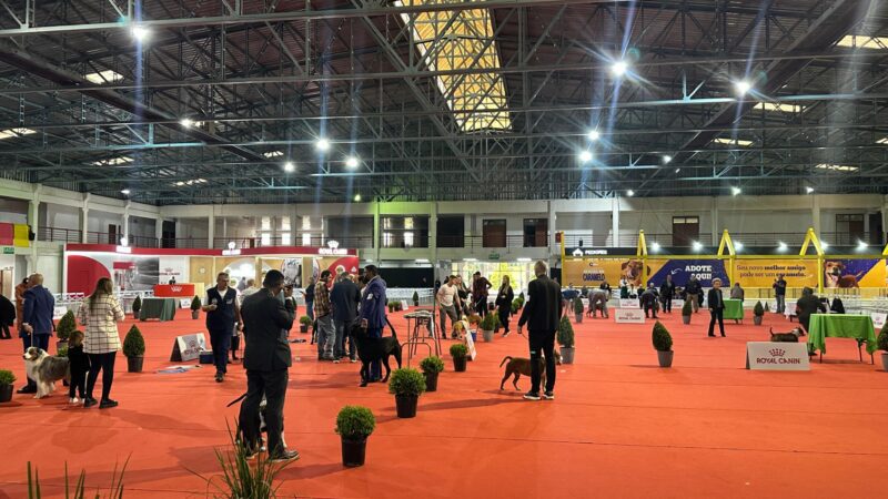 São Bento do Sul recebe pela primeira vez a Exposição de Aniversário da CBKC