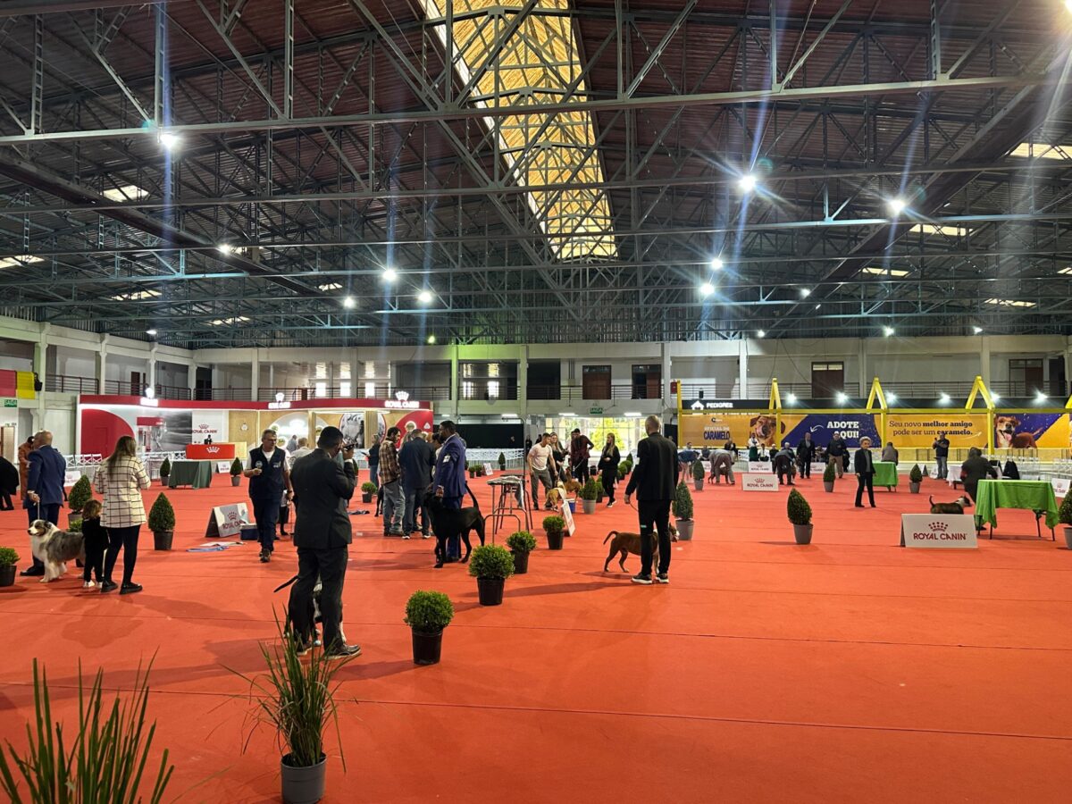 São Bento do Sul recebe pela primeira vez a Exposição de Aniversário da CBKC