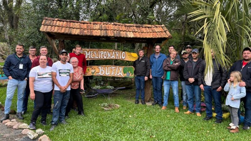Agricultores de Major Vieira aprendem como manejar abelhas sem ferrão