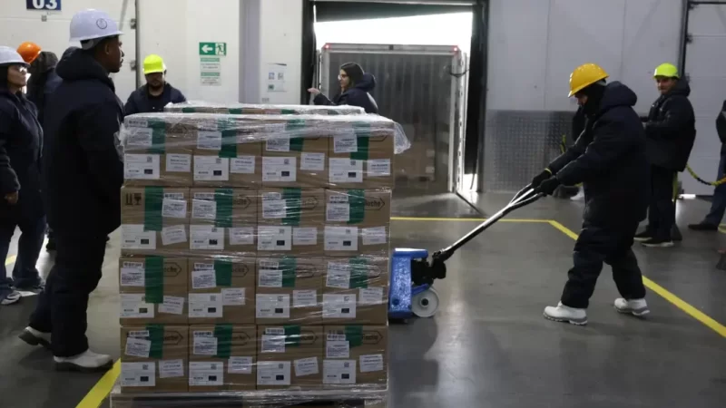 Brasil recebe lote de medicamento para tratar câncer de mama no SUS