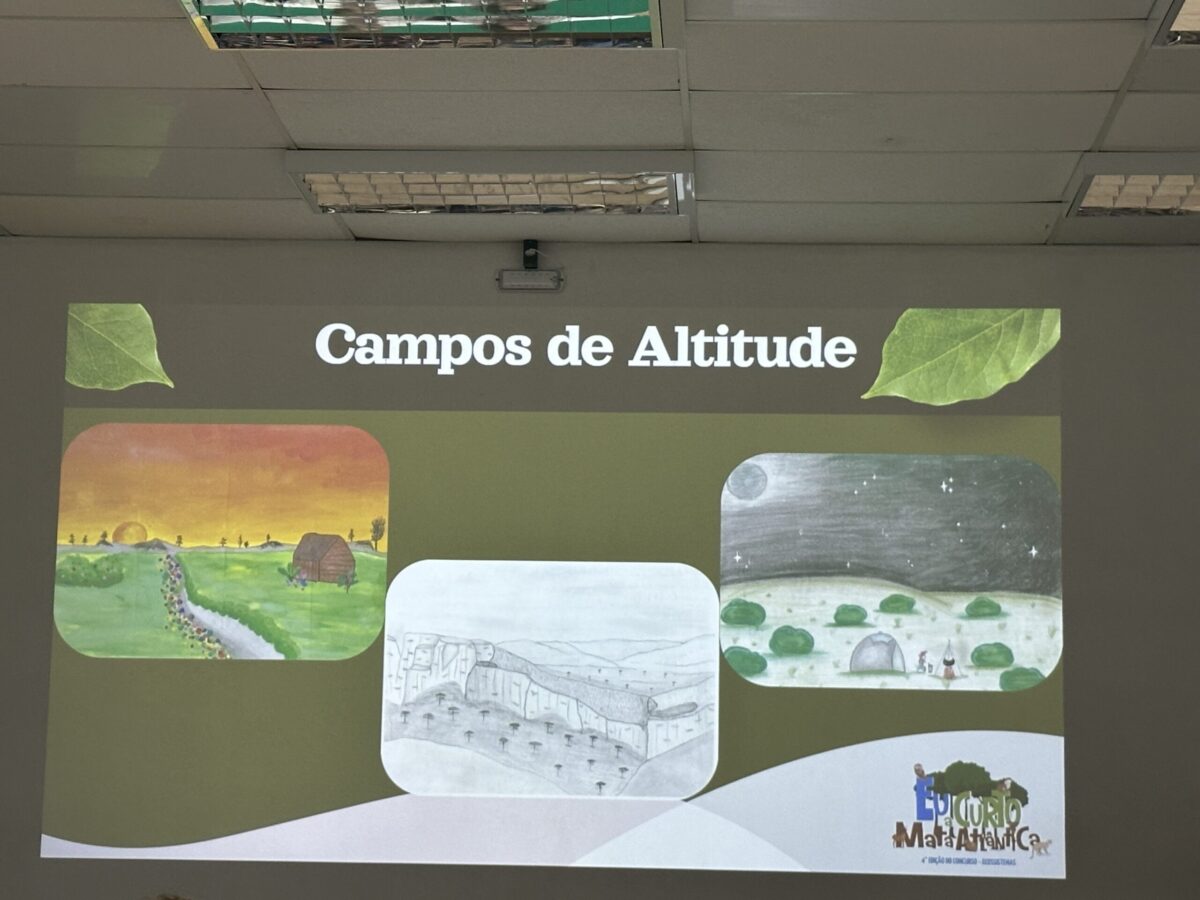 Prefeitura realiza premiação da 4ª edição do concurso “Eu curto a Mata Atlântica”