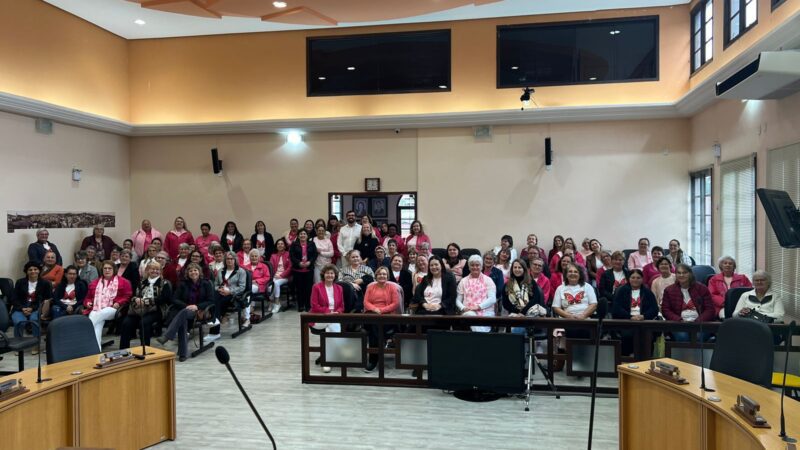 Palestra sobre câncer de mama marca Outubro Rosa na Câmara Municipal