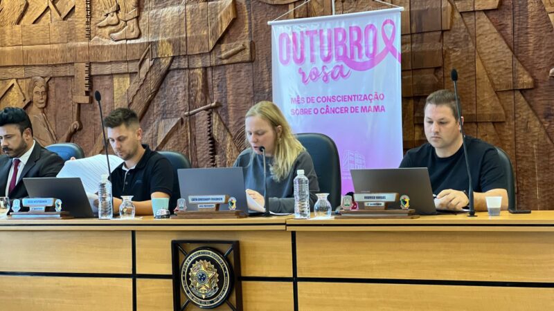 Projetos do Executivo, Legislativo e de resolução são votados nas comissões