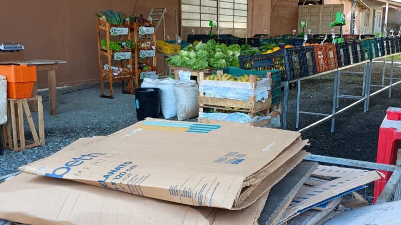 Câmbio Verde arrecada mais de 3,7 toneladas de recicláveis no bairro Centenário