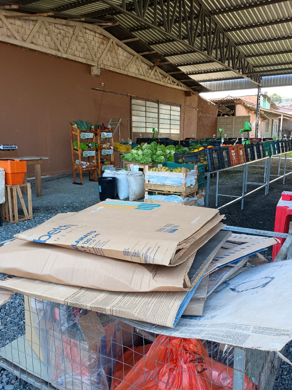 Câmbio Verde arrecada mais de 3,7 toneladas de recicláveis no bairro Centenário