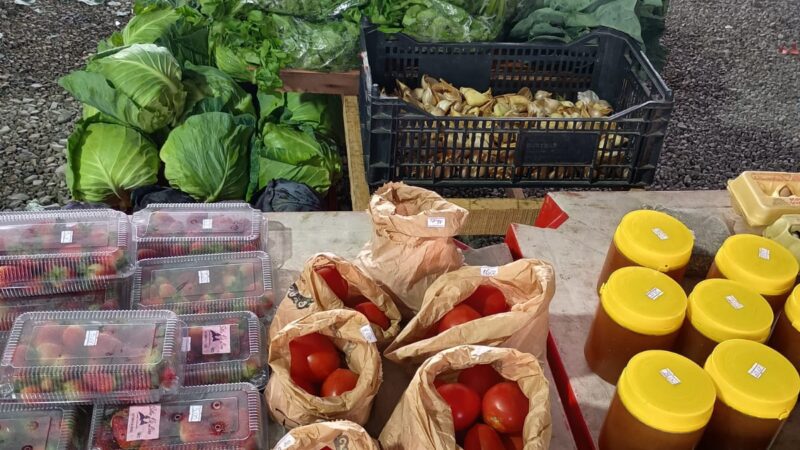 Programa Câmbio Verde do Samae conquista o Prêmio Fritz Müller em Santa Catarina