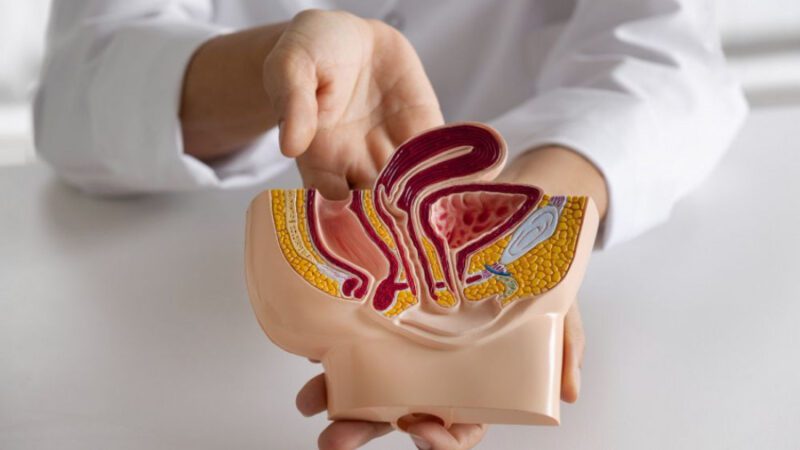 Câncer colorretal em jovens cresce no mundo e preocupa especialistas