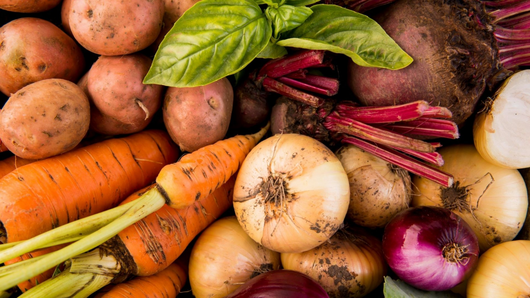 Canoinhas investe mais de R$ 4 milhões na alimentação escolar em 2025