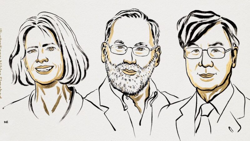 Nobel de Medicina vai para cientistas americanos e japonês