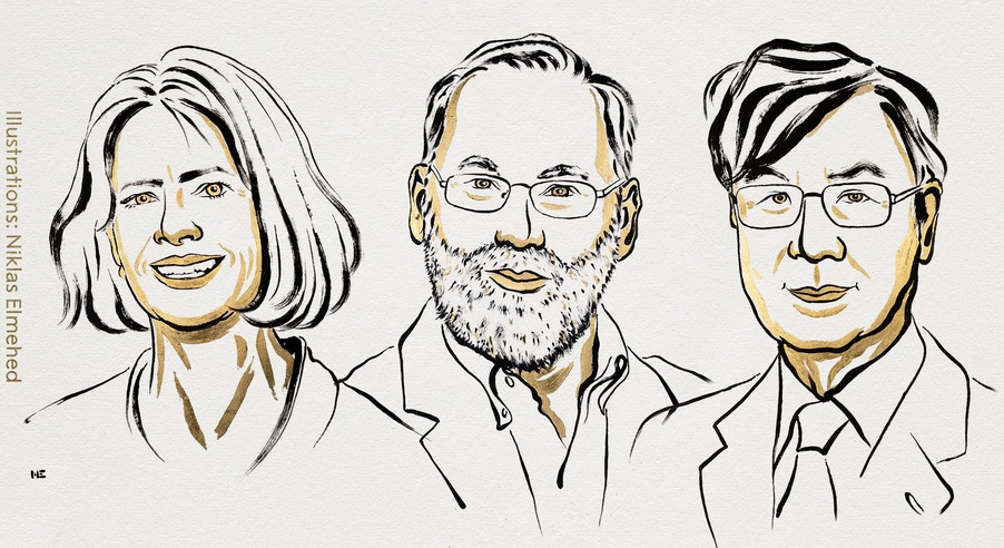 Nobel de Medicina vai para cientistas americanos e japonês