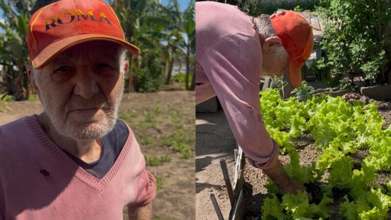 Idoso de 87 anos mantém horta há 40 anos em Santa Catarina