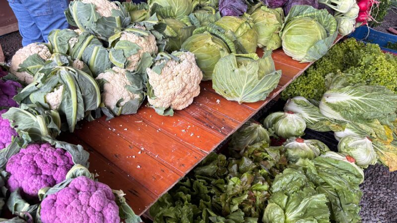 Edição do Programa Câmbio Verde acontece nesta sexta-feira (28)