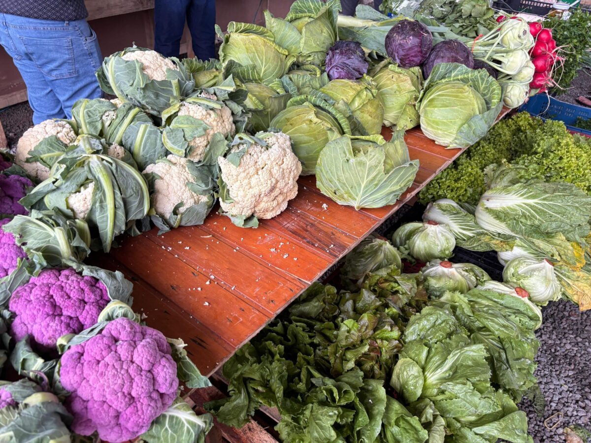 Troca de recicláveis por alimentos e oferta de vagas de emprego
