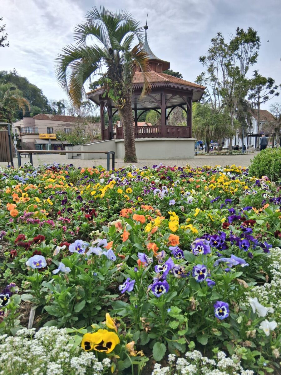 Beleza que floresce com cuidado: conheça o Horto Municipal, berço das flores que enfeitam a cidade
