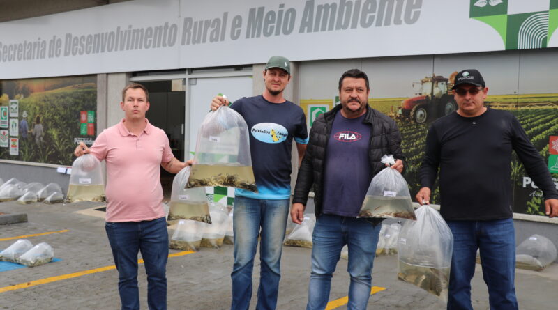 Secretaria de Desenvolvimento Rural e Meio Ambiente realiza entrega de alevinos a produtores de Papanduva