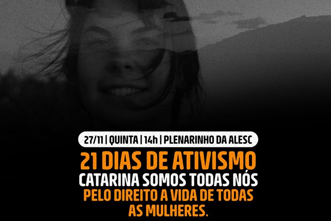 Audiência pública na Alesc discutirá o direito à vida de todas as mulheres