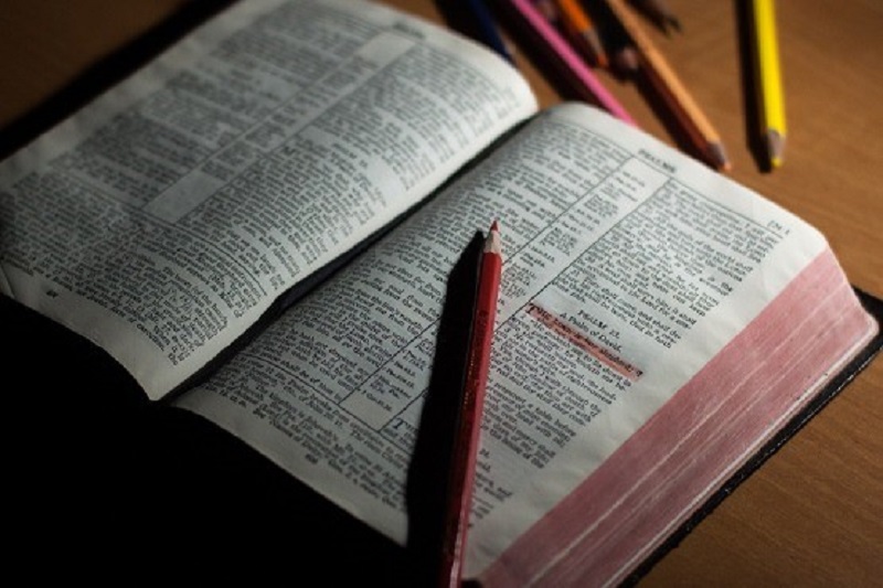 Câmara de Florianópolis aprova projeto que permite uso da Bíblia como material de apoio nas escolas