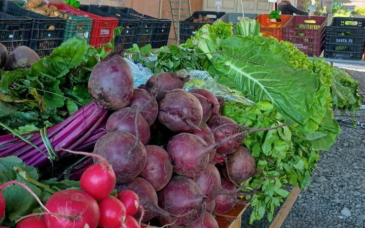 São Bento do Sul coleta mais de 4 toneladas de recicláveis em nova edição do programa Câmbio Verde