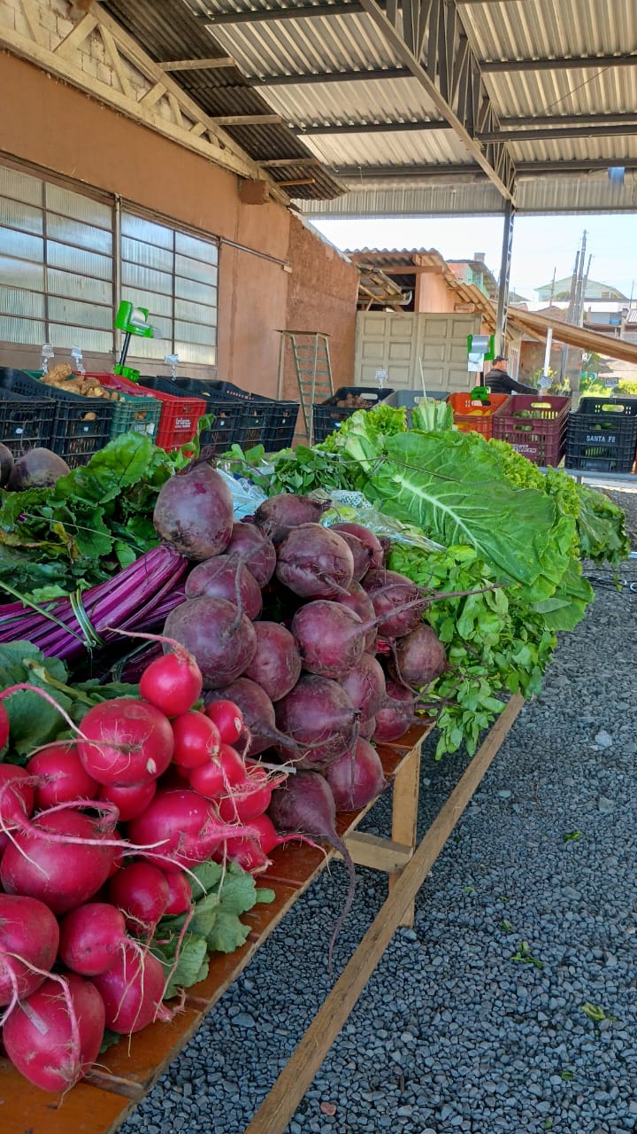 São Bento do Sul coleta mais de 4 toneladas de recicláveis em nova edição do programa Câmbio Verde
